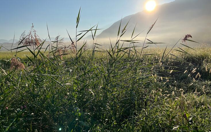 Herbst, Wetter, Sonne, September