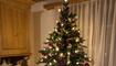 Christbaum im roten Kleid