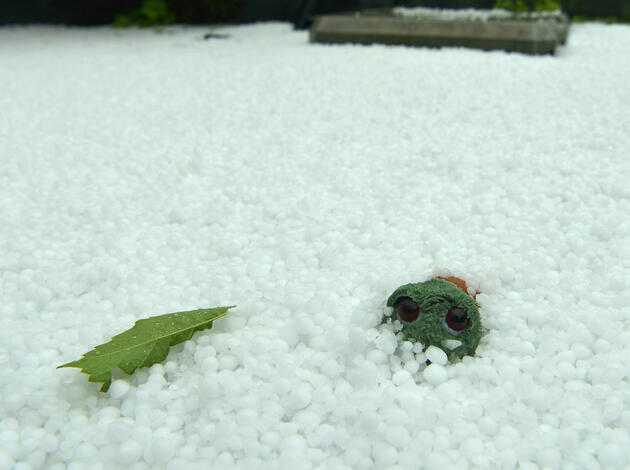 Hagel Bendern Stofftier zugehagelt Hagel Bendern Stofftier zugehagelt