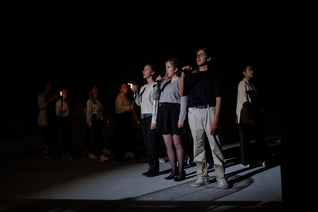 The Princely Liechtenstein Tattoo in Schellenberg