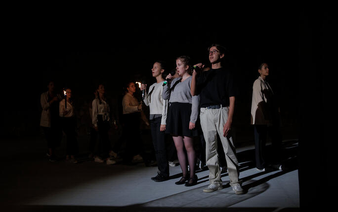 The Princely Liechtenstein Tattoo in Schellenberg