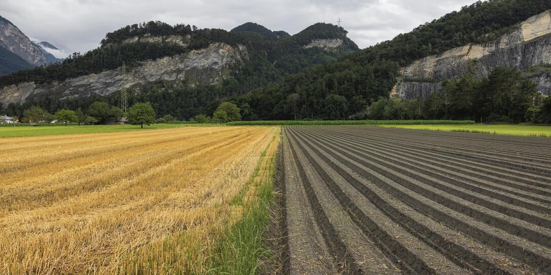 Landwirtschaft