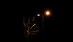Vaduz bei Nacht