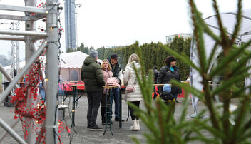 Winterzauber  in Gams