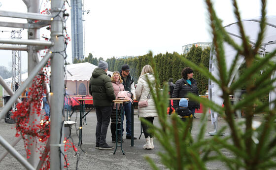 Winterzauber  in Gams