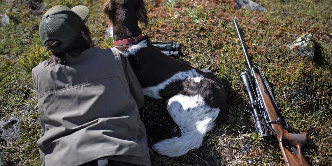 JAGEN, BUENDNER JAGD, HOCHJAGD, KANTON GRAUBUENDEN, SCHWEIZER ALPEN, JAGDSAISON, WILD,