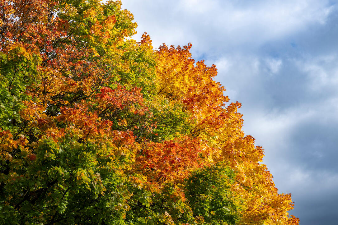 Herbst im Land