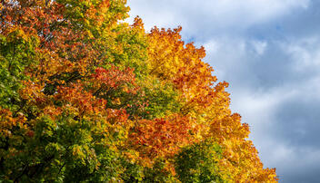 Herbst im Land