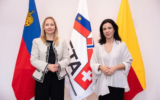 EFTA-Generalsekretärin Siri Veseth Meling mit Regierungsrätin Dominique Hasler.