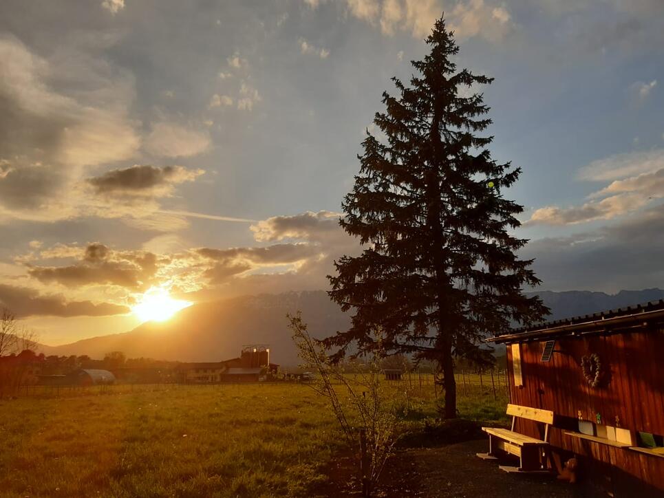 #näherdran-Fotowettbewerb Eschen-Nendeln