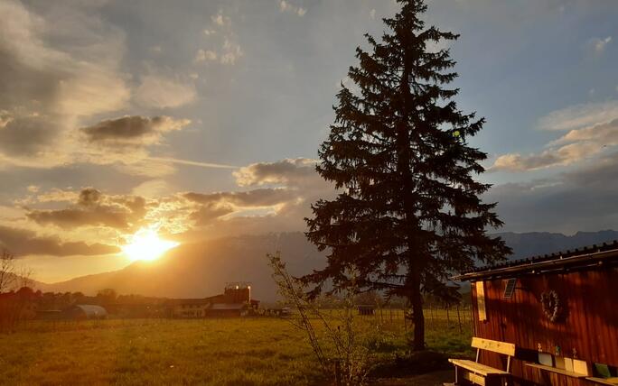 #näherdran-Fotowettbewerb Eschen-Nendeln