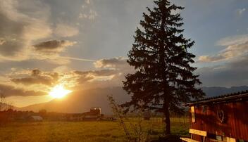 #näherdran-Fotowettbewerb Eschen-Nendeln