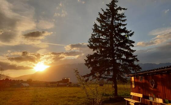 #näherdran-Fotowettbewerb Eschen-Nendeln