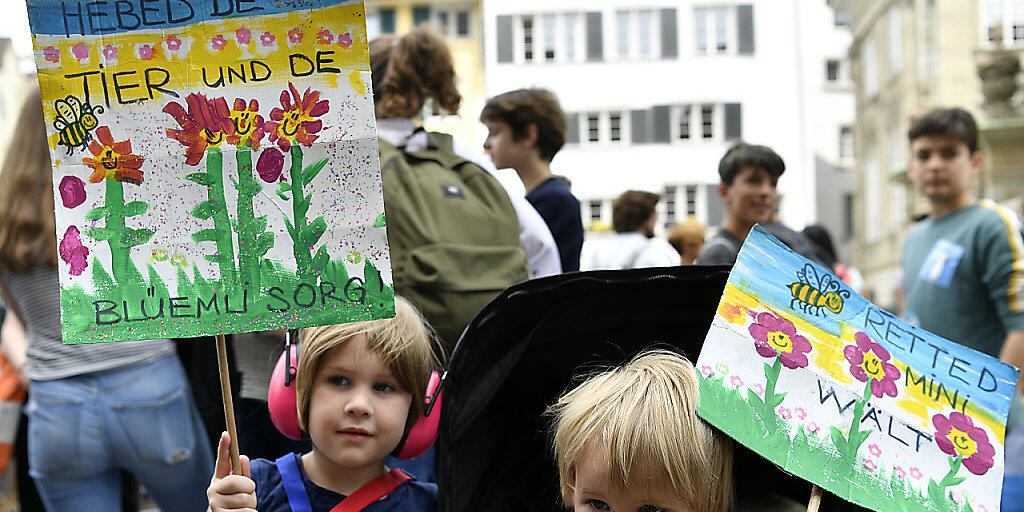 Selbst die Kleinsten waren am schweizweit grössten Umzug in Zürich mit von der Partie. Ihre Sorge galt der Tier- und Pflanzenwelt.