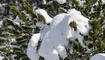 Erster Schnee in Liechtenstein