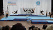 Liechtensteiner Delegation bei der Gymnaestrada 2023 in Amsterdam