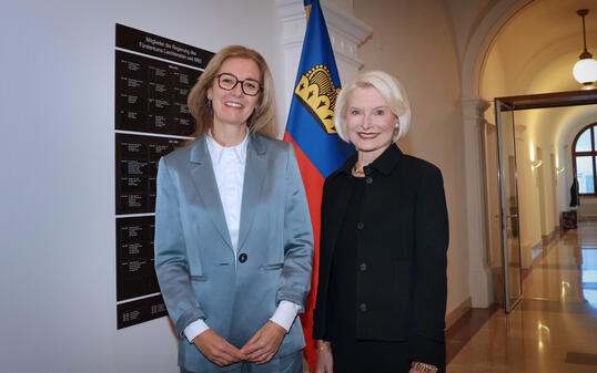 Überreichung des Beglaubigungsschreibens an S. D. Erbprinz Alo