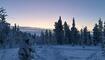 Leserreise Lappland