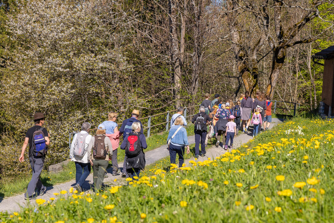 11. Sagenfestin Triesenberg (01.05.2026)
