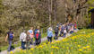 11. Sagenfestin Triesenberg (01.05.2026)
