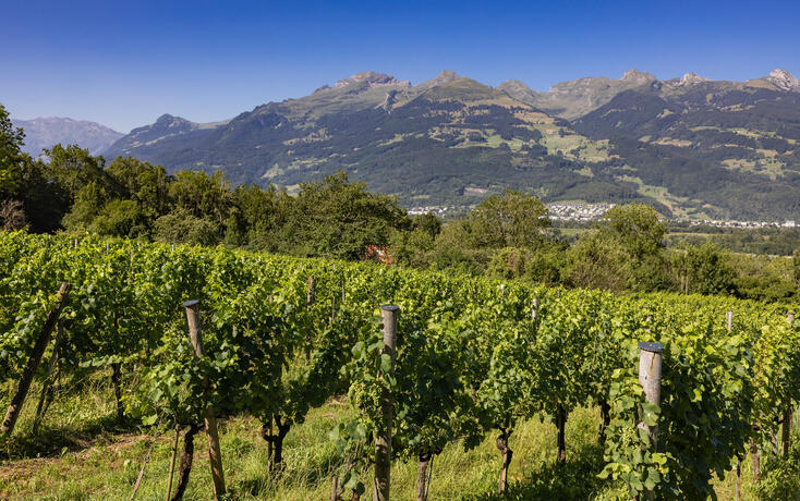 Urbanswingert in. Schaan