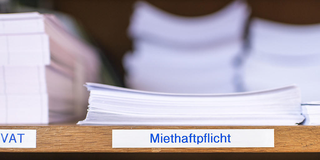 Mieter von neu ausgeschriebenen Wohnungen bezahlten im Januar nur unmerklich höhere Preise. (Symbolbild).