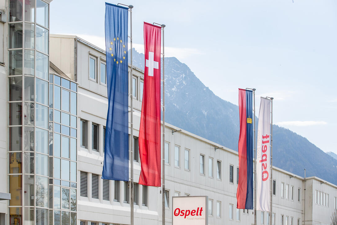 Herbert Ospelt Anstalt, Bendern