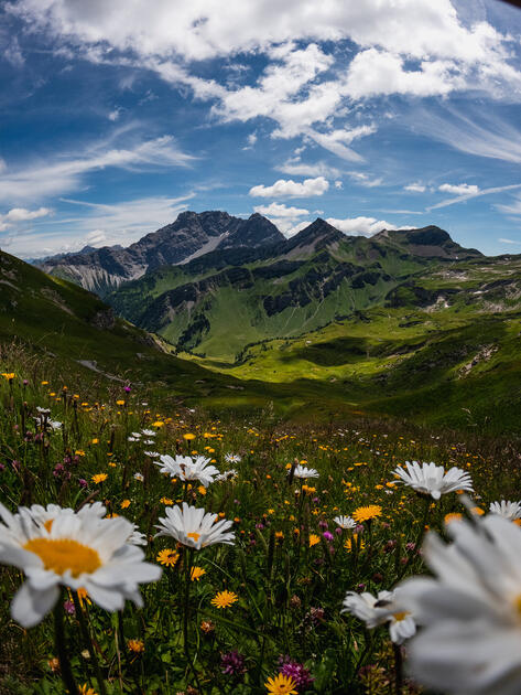 Fürstin-Gina-Weg in seiner vollen Blühte