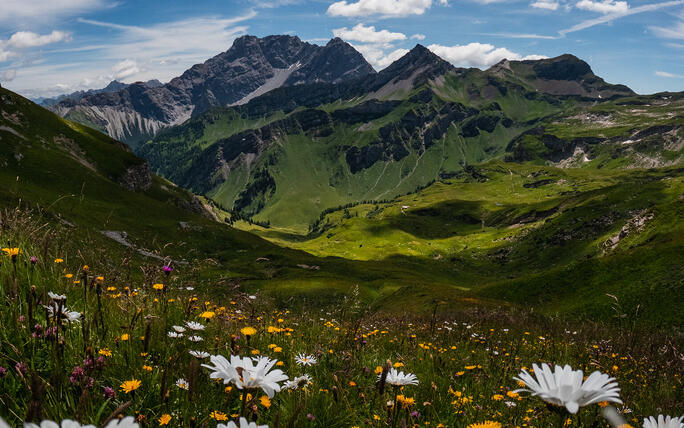 Fürstin-Gina-Weg in seiner vollen Blühte
