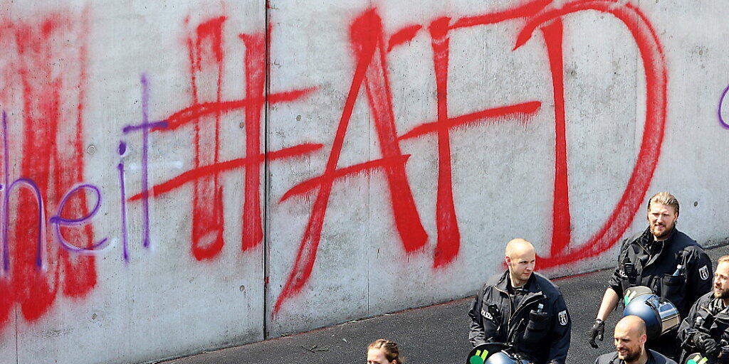 AfD-Graffiti in Berlin. (Archiv)