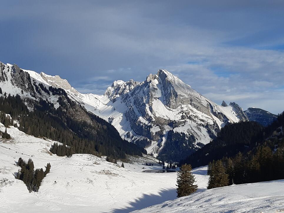 Auf zu neuen Schneeabendteuer!