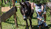 Eselfest, in Malbun (09.08.2025)