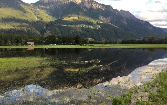 #näherdran-Fotowettbewerb Eschen-Nendeln