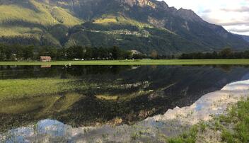 #näherdran-Fotowettbewerb Eschen-Nendeln
