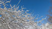 Schnee im Frühling