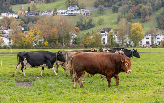 Neusandhof in Vaduz