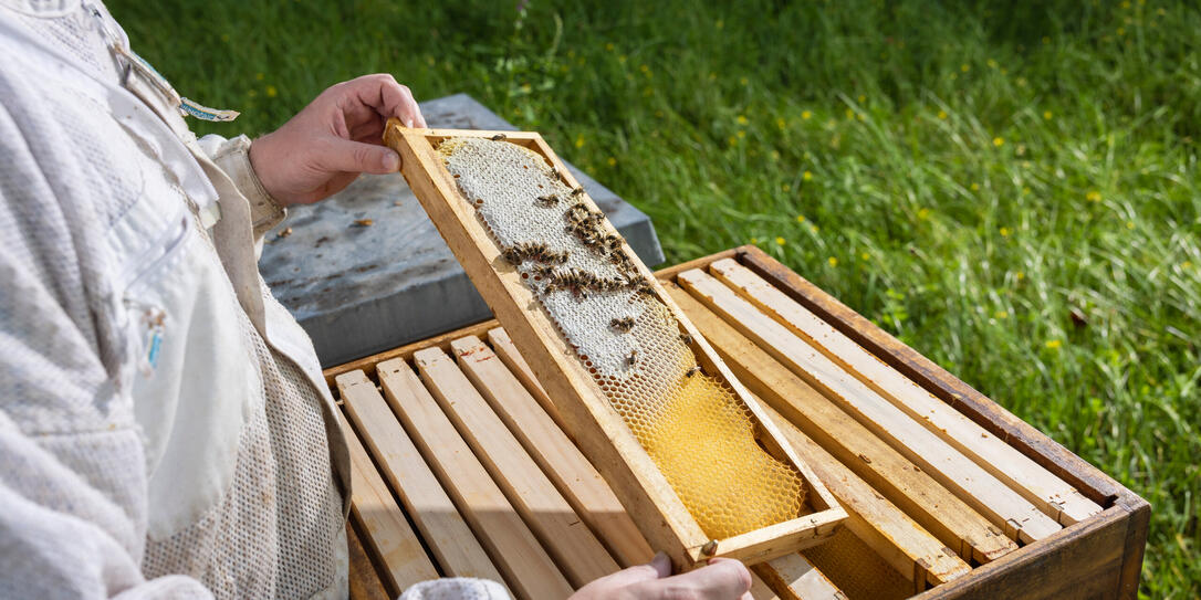 Marco Stupan in Bendern