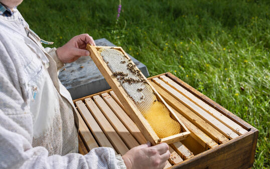 Marco Stupan in Bendern