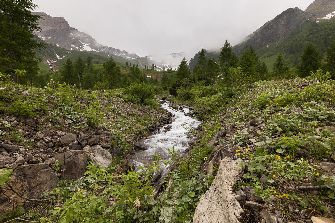 Wanderung: Steg - Alpeti - Pfälzerhütte - Malbun