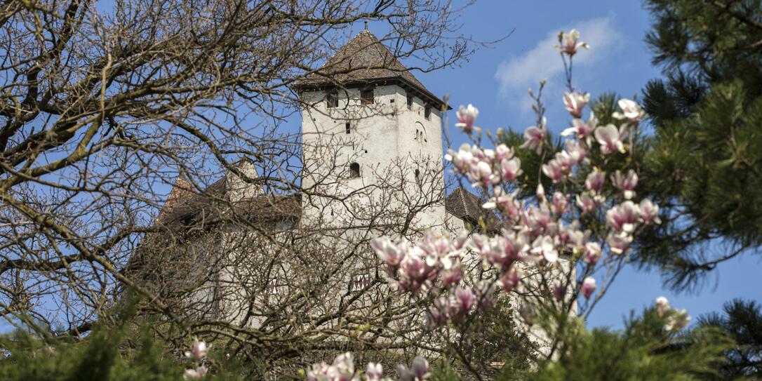 Burg Gutenberg in Balzers Burg Gutenberg in Balzers