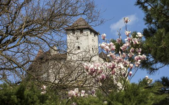 Burg Gutenberg in Balzers
