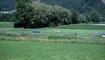 Hundeplausch Balzers (20.06.2026)