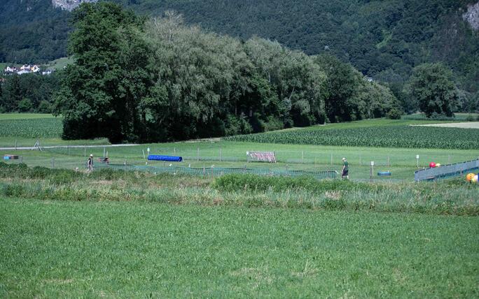 Hundeplausch Balzers (20.06.2026)