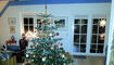 Unser Weihnachtsbaum auf der Insel Rügen! (Kurt F. Monz)