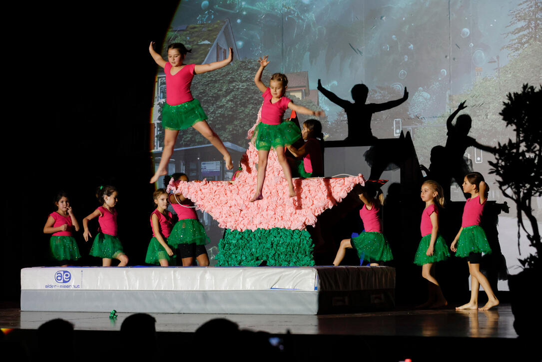 Turnunterhaltung STV Oberriet-Eichenwies, St. Gallen, Schweiz