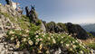 Wanderung Drei Schwestern