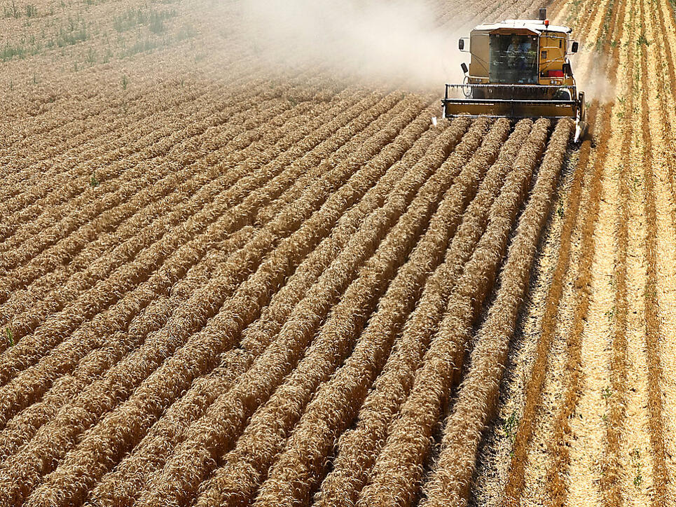Werden nun auch von Bucher Industries importiert: Mähdrescher der US-Firma New Holland. (Symbolbild)