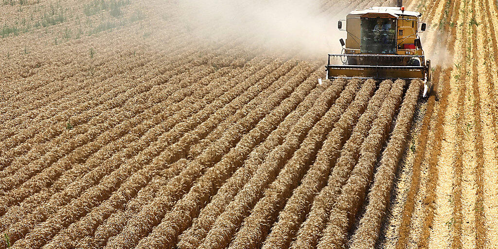Werden nun auch von Bucher Industries importiert: Mähdrescher der US-Firma New Holland. (Symbolbild)