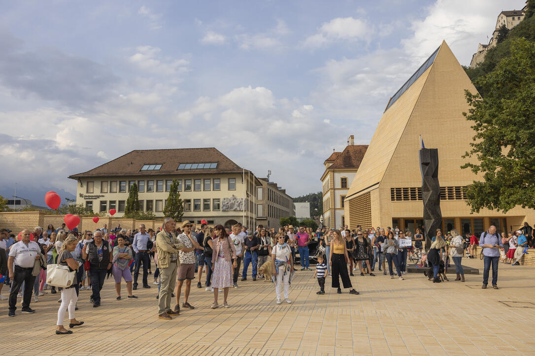 Corona Demo in Vaduz