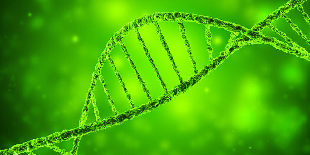 Illustration eines DNA-Strangs: Neandertaler-Gene könnten einer Studie zufolge verantwortlich für einen schweren Krankheitsverlauf bei einer Covid-19-Infektion sein.